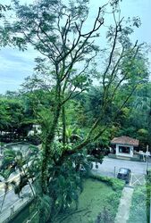 Botanic Gardens View (D10), Apartment #497947111